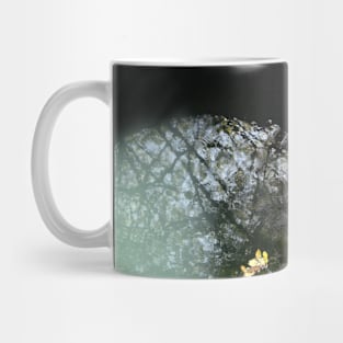 Sky and Tree Reflection in the Deep Well Water. Nature Deep Within. Mug